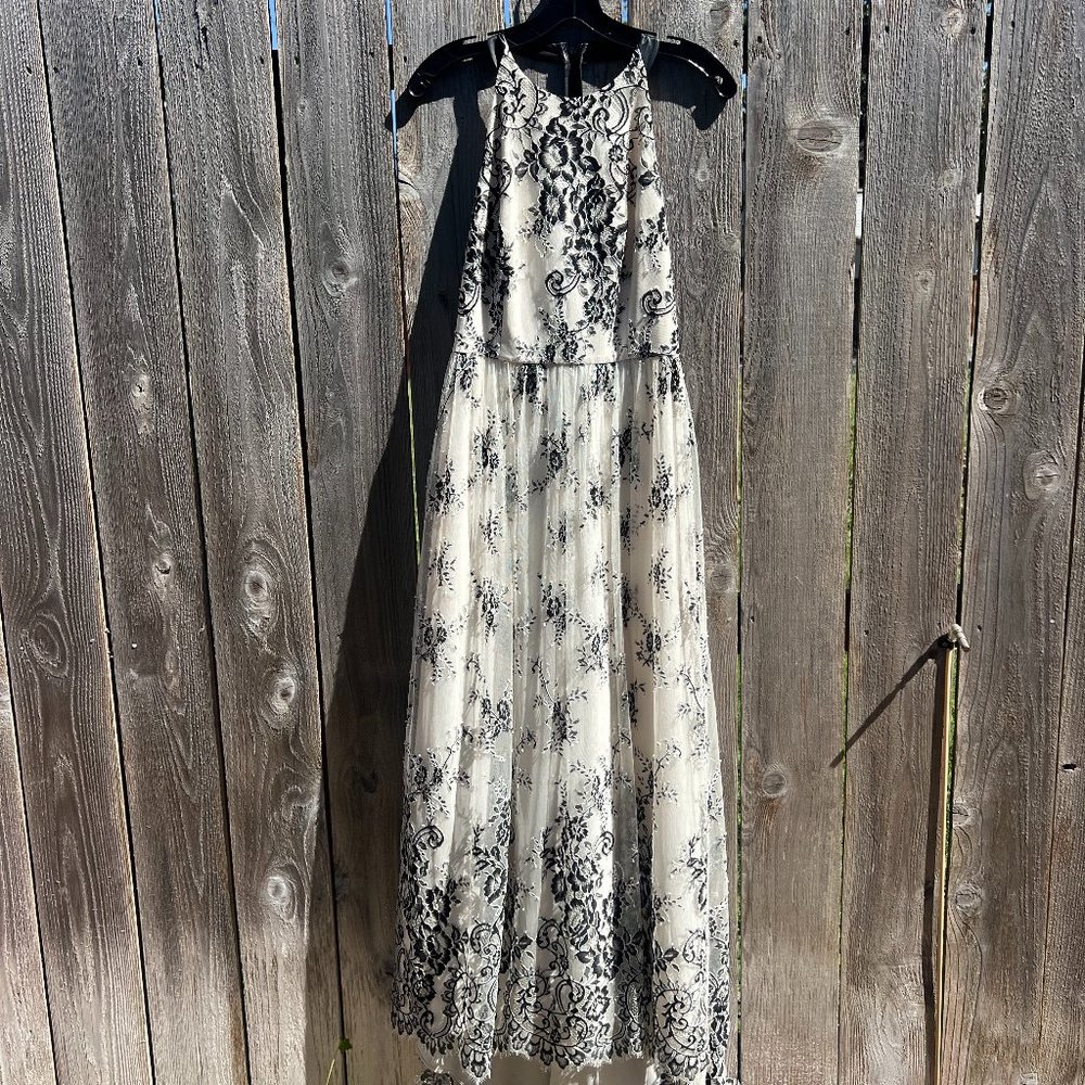 Alice and Olivia Lace Evening Dress